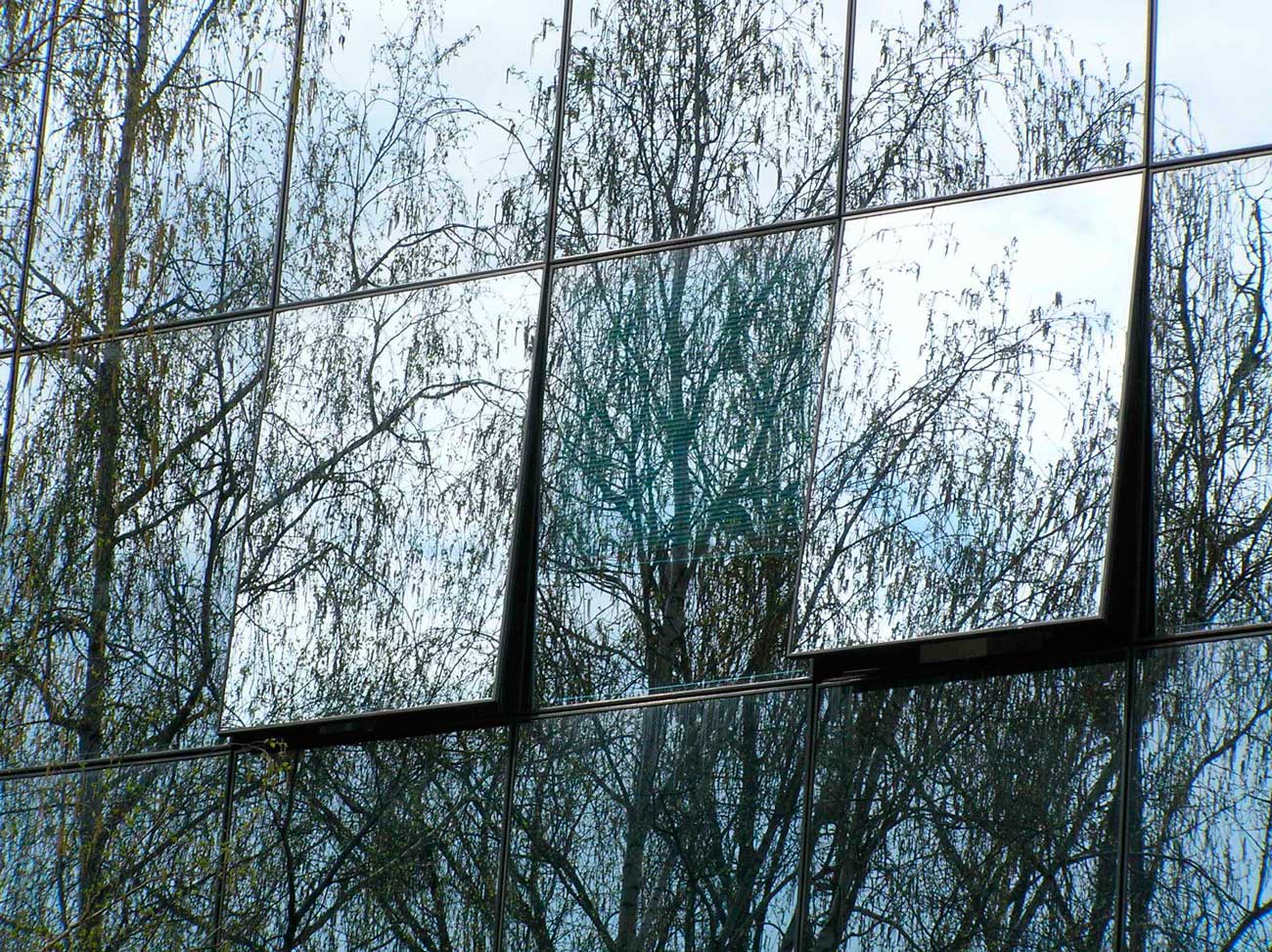 Отражение в окне